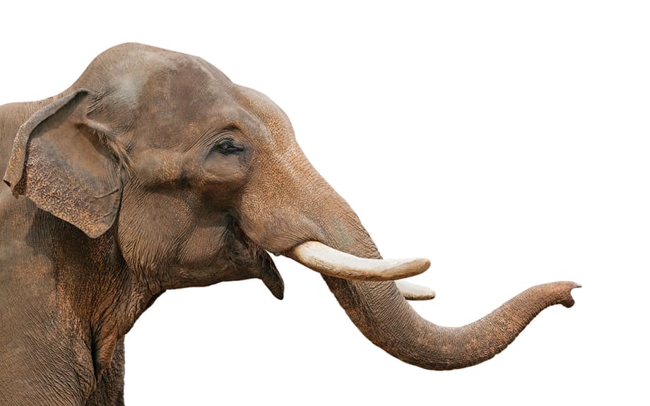 Break Out of Your F&I Shackles