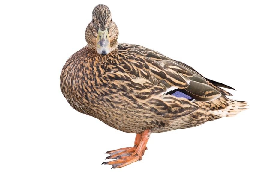 Make Every Minute Count in F&I