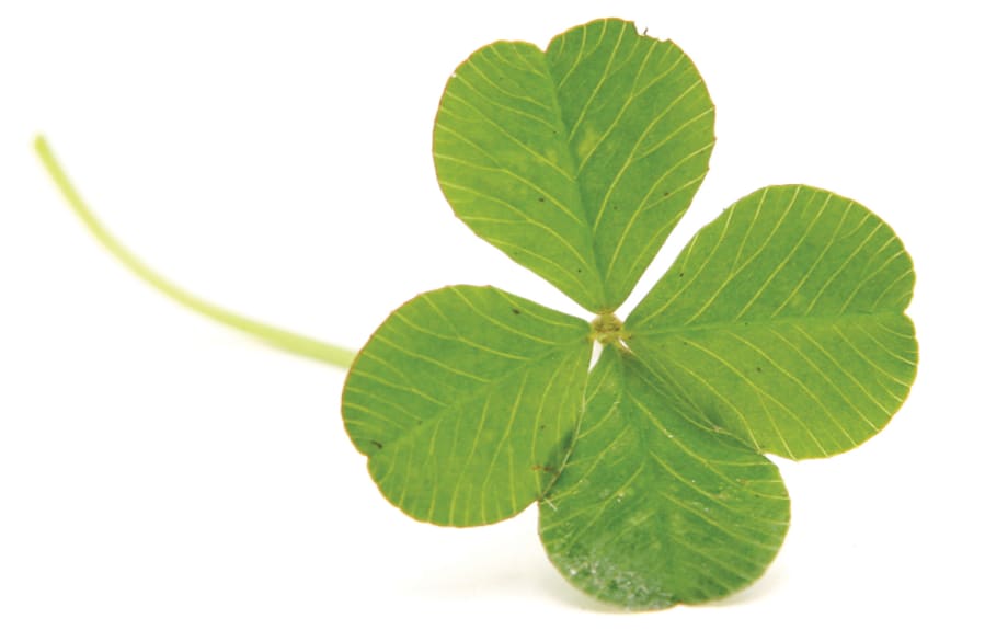 How to Improve Your F&I Luck