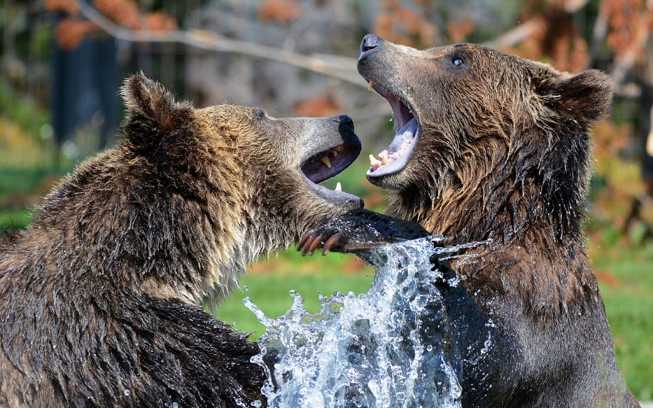 Jumpstart: Car Buyers Want to Negotiate