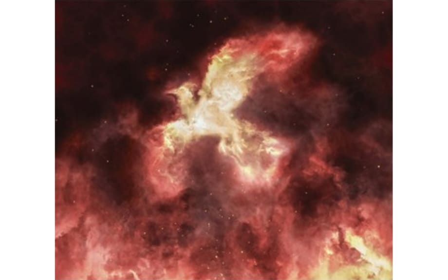 Rising from the Ashes