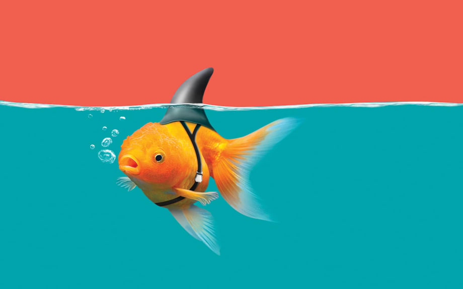 8 Ways Small Dealers Can Compete With Big Franchises