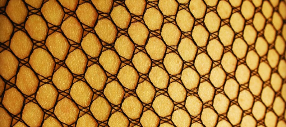 Trend Watch: Fishnet