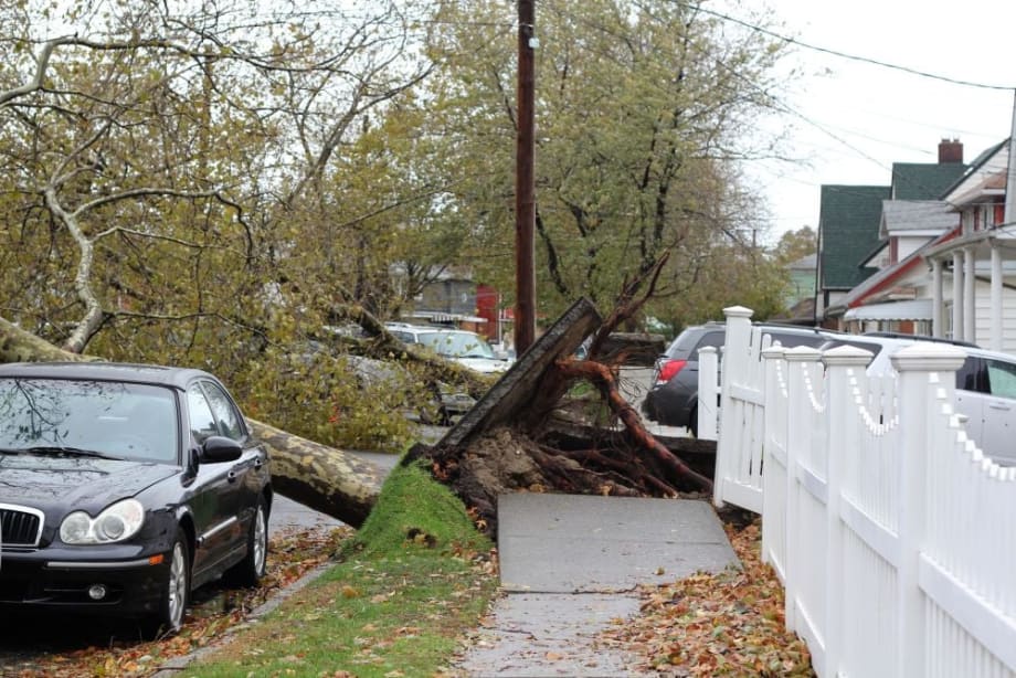 New York City to Pay $5.3M for Fraudulent FEMA Reimbursement