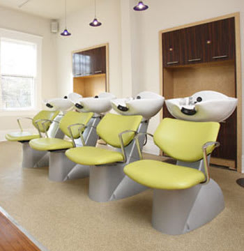 Salon of Distinction: Folicle