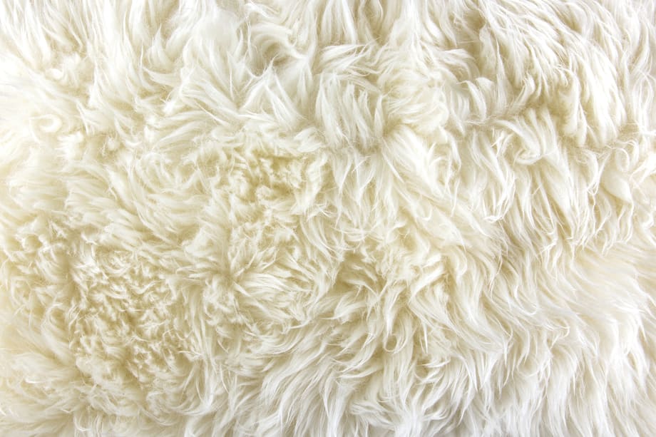 Trend Watch: Fluff