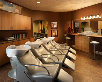 Salon of Distinction: Fusion