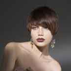 Everyday Collection by Gandini Club