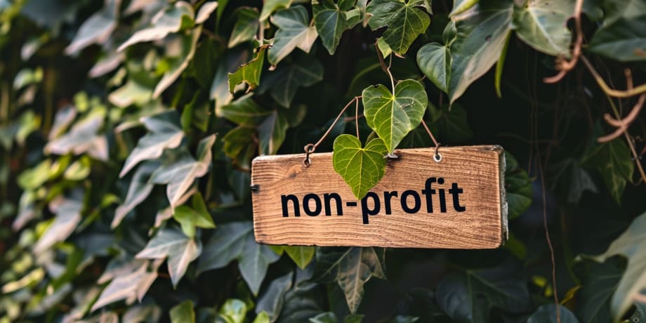 From Grassroots to Sprout: Celebrating One Year of Impact