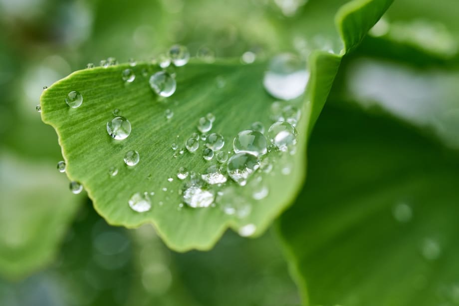 Earth Month: Learn How to Make Your Suite More Eco-Friendly