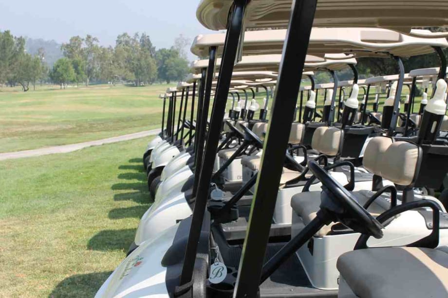 Mich. City to Lease New Golf Carts