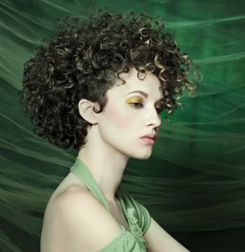 Green with Envy by the Take 10 Artistic Group
