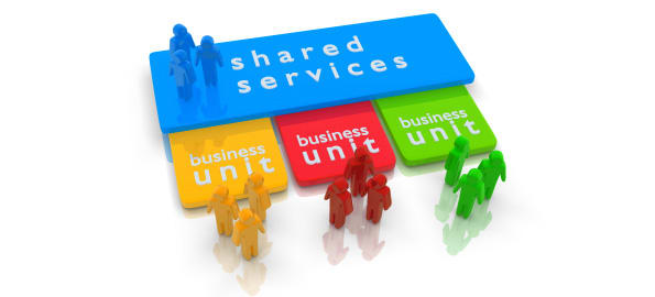 A Question on DMS Integration - The StoneEagle Group Responds