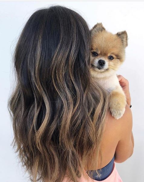45 Brunette Looks We're Falling for this Season