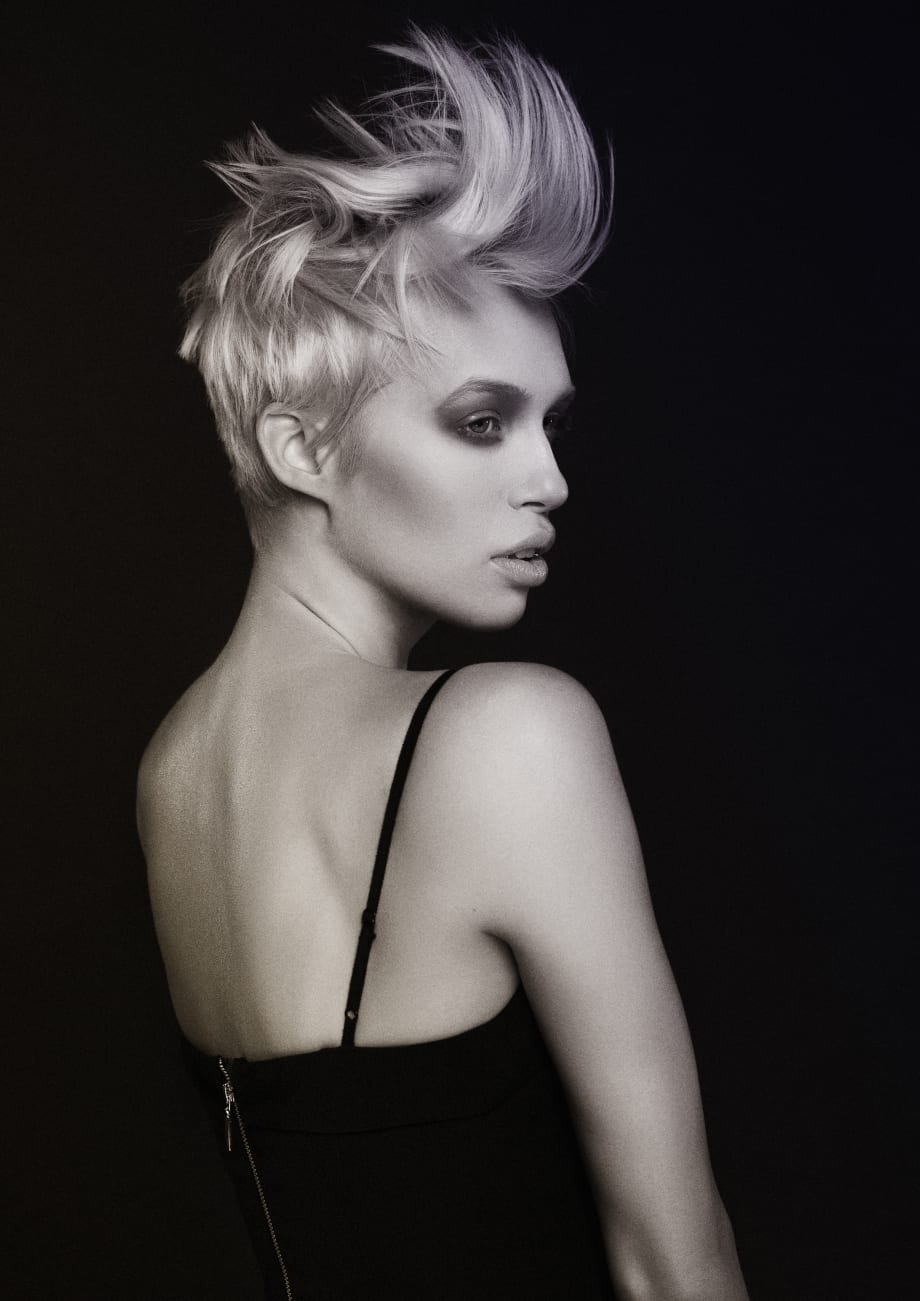 2018 NAHA Finalists: Haircutting