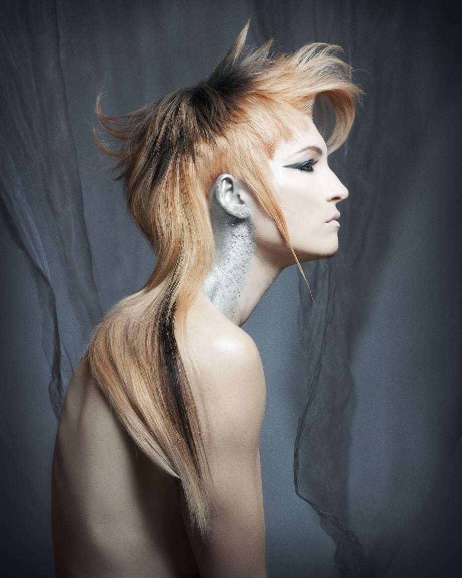 2018 NAHA Finalists: Haircutting