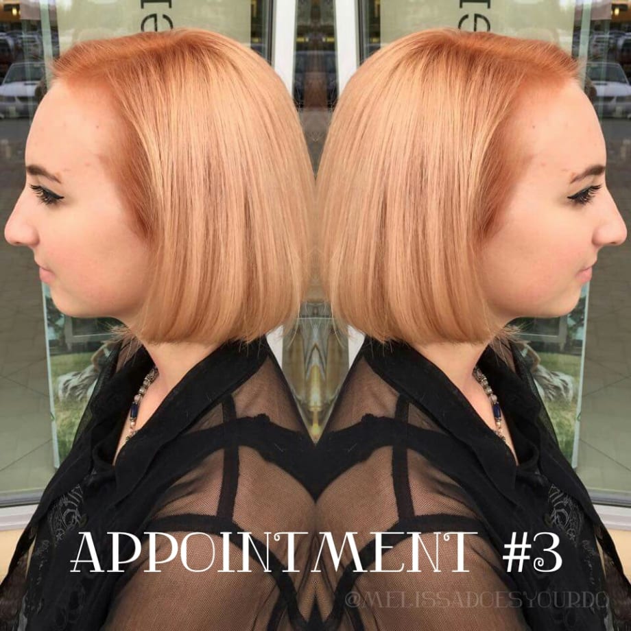 The Journey: From Black to Blonde - And Everything In-Between