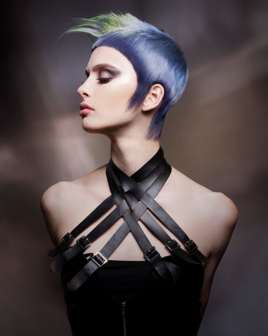 2018 NAHA Finalists: Hair Color