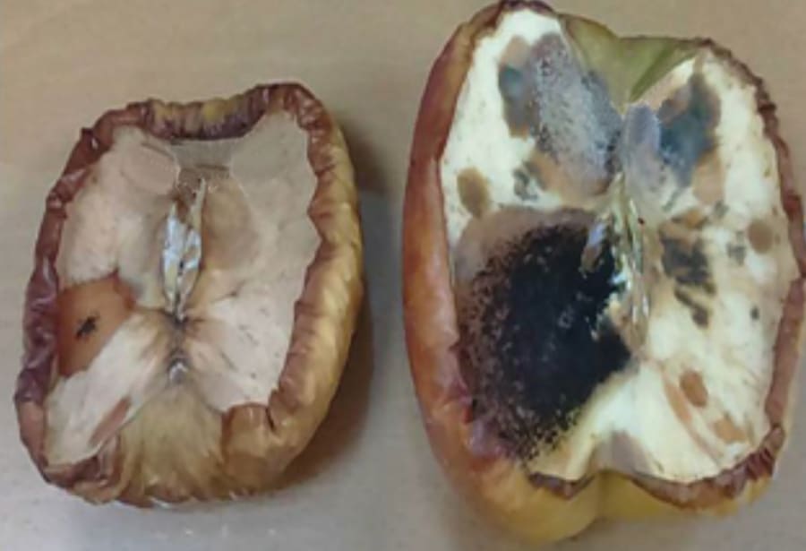 Can LEDs Clean Your Truck?