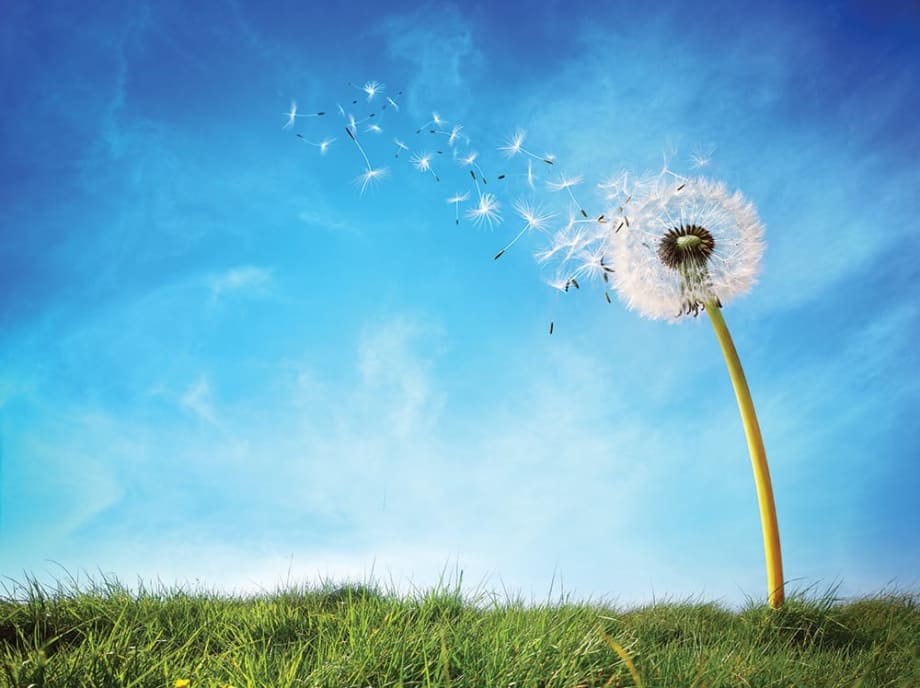 New Directions - Making Pivotal Changes in Your Life