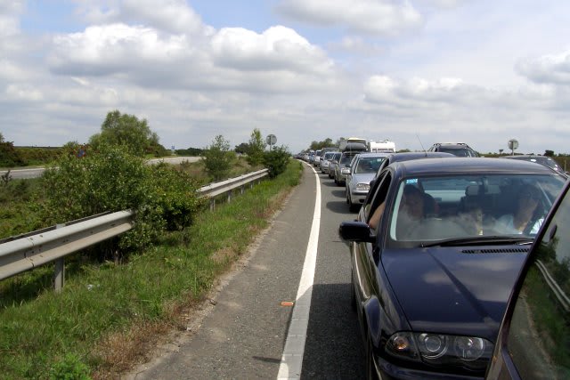Buckle Up: Thanksgiving Travel to Rebound Almost to Pre-Pandemic Levels
