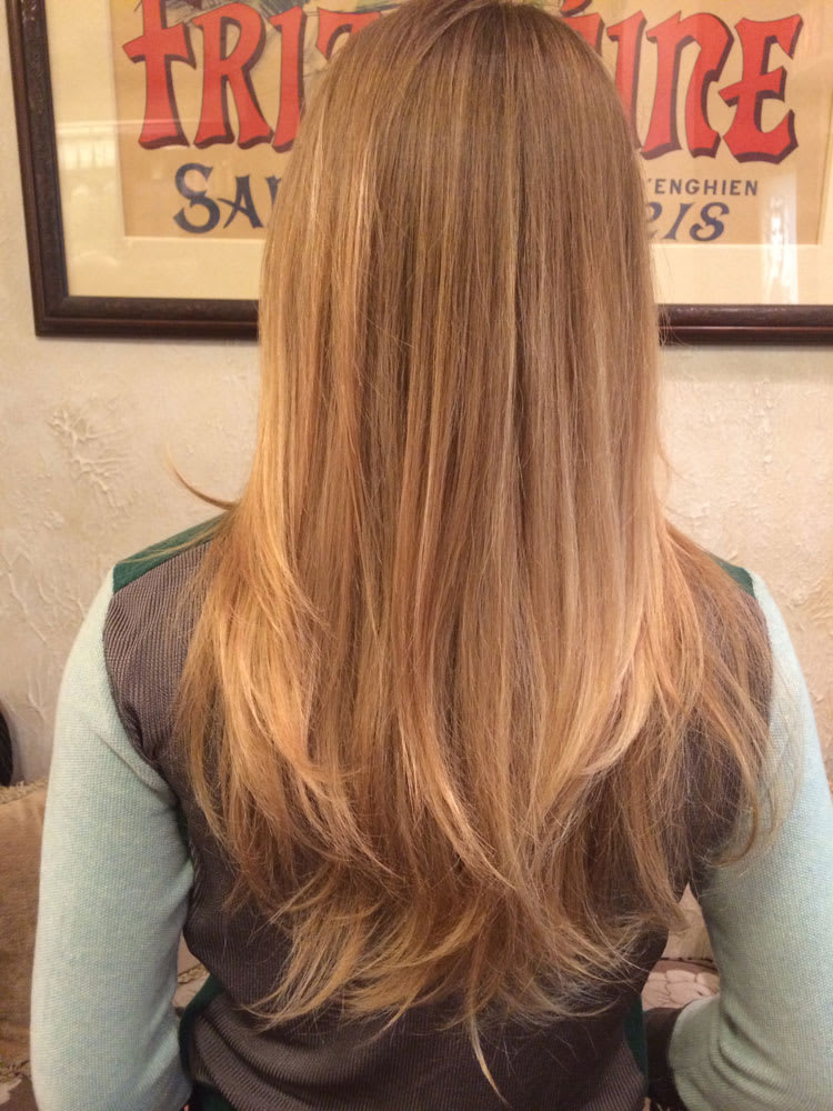 FORMULA HOW-TO: Honey Wheat Blonde