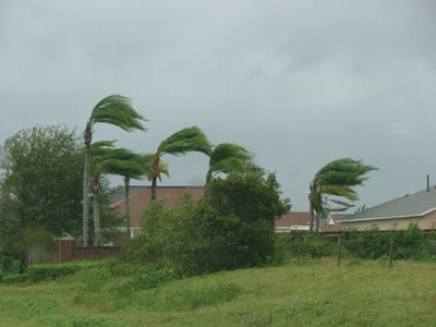 Hurricanes Show Resiliency of Florida Fleet Departments