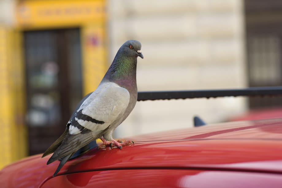 Selling Paint and Fab