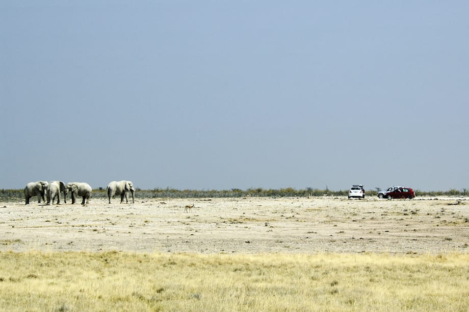 Africa's Challenge