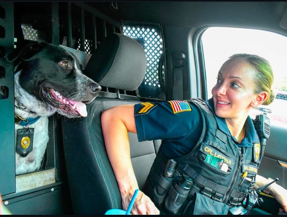 K-9 Team Brings Comfort and Community Together