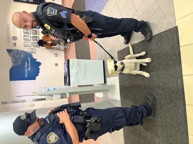 Standardization Offers Servicing & Budgeting Benefits