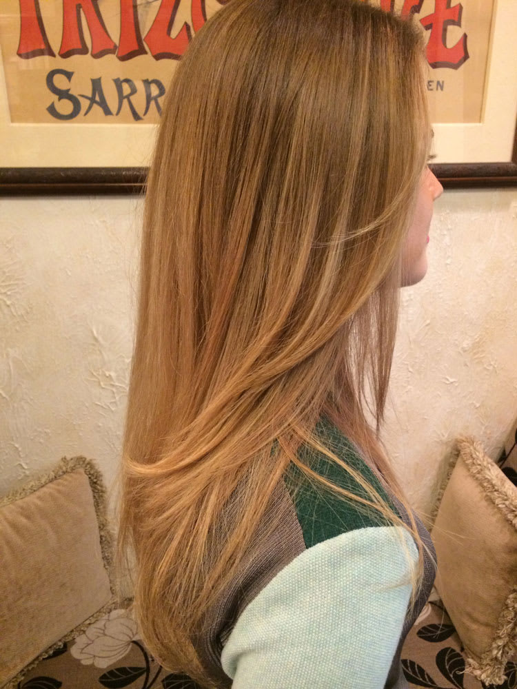 Honey Wheat Hair by Chelsea Vowell