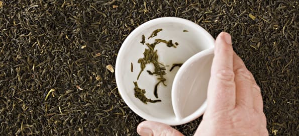 Reading The Tea Leaves: False, Deceptive, and Abusive Practices