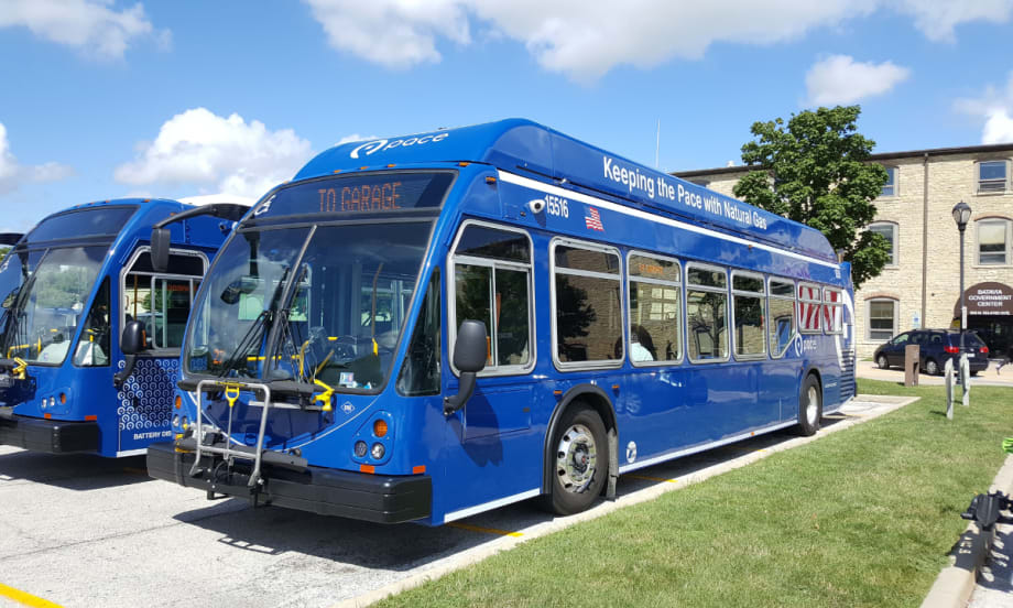 Blue Pace buses parked.