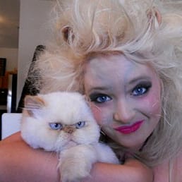 Kitten Look