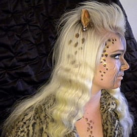 Kitten Look