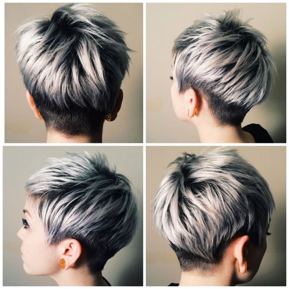 The Silver Journey