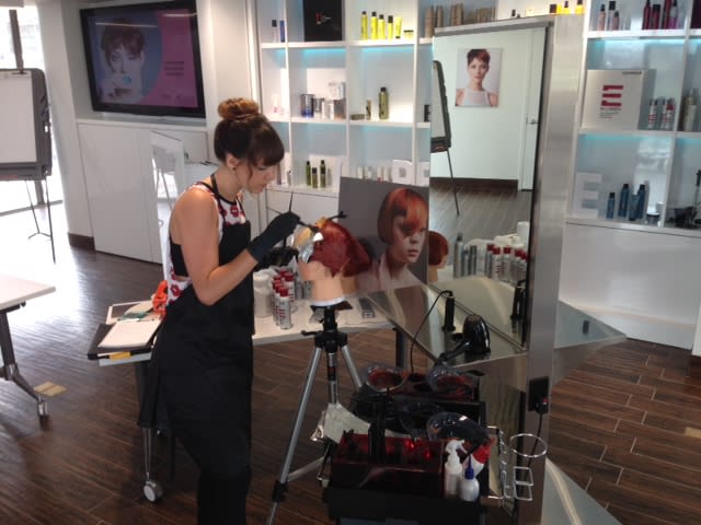 Goldwell Color Zoom Training: The Finalists Work It Out