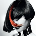 Colors & Beauties by kpO