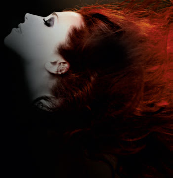 Colors & Beauties by kpO