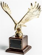 Call for Nominations: 2017 Fleet Executive of the Year