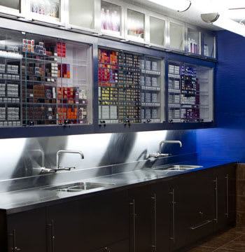 Salon of Distinction: The Salon by Lora Brown