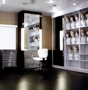 Salon of Distinction: The Salon by Lora Brown