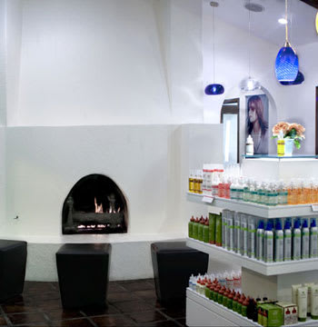 Salon of Distinction: The Salon by Lora Brown