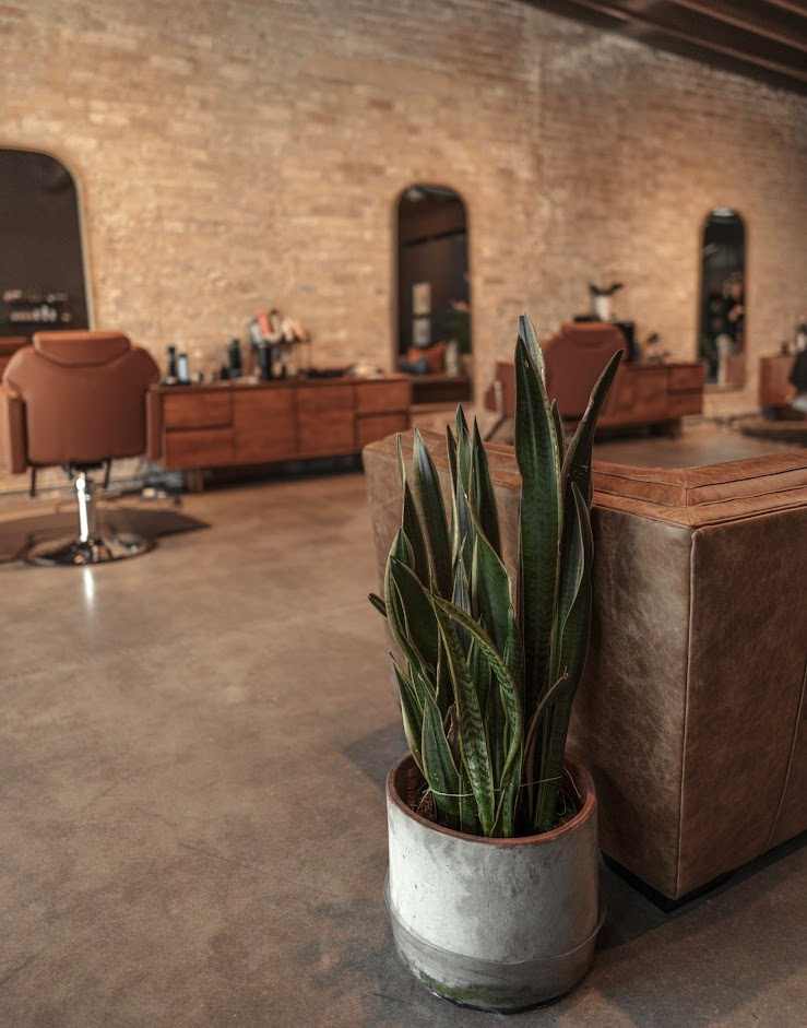 Revealing Our 2024 SALONS OF THE YEAR Finalists!