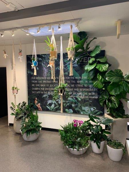 Lux Salon's Co-op Pop-Up Experiment
