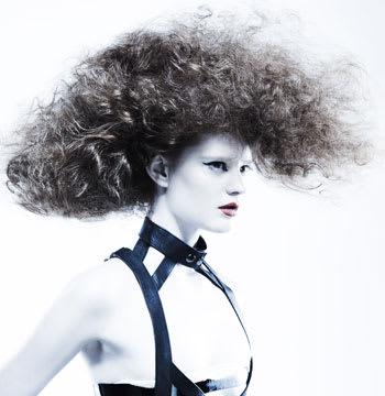 2011 NAHA Finalists - Master Hairstylist
