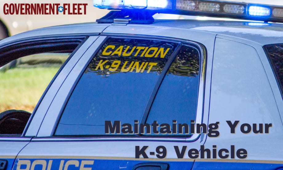 How to Recondition a K-9 Police Vehicle