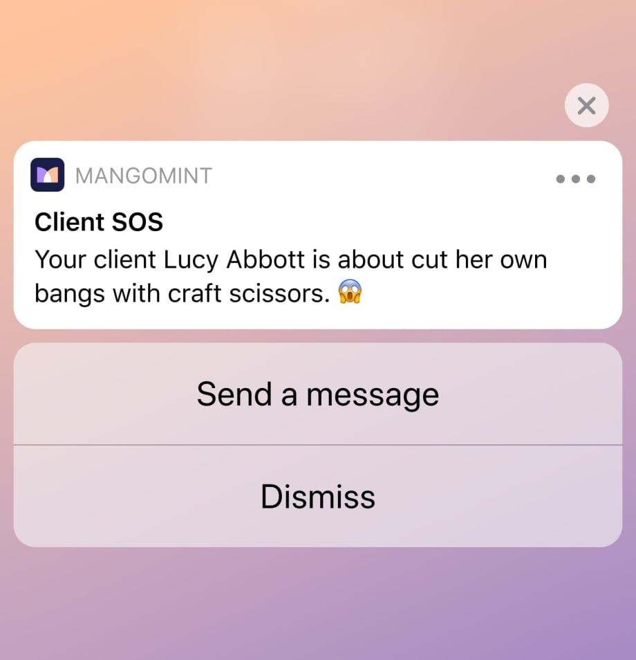 Mangomint Plays A Prank on its Users by Announcing the Release of a New Software Feature