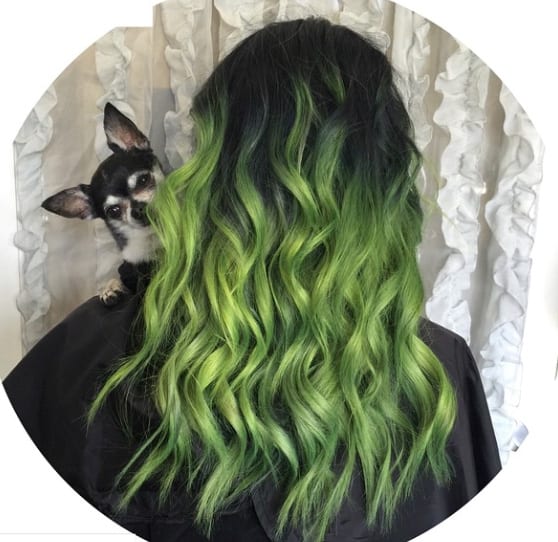 HOW-TO: Electric Green Ombré